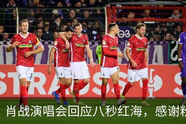 肖战演唱会回应八秒红海，感谢粉丝当年给他惊喜，双向奔赴实锤了